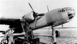 fw191-5.jpg