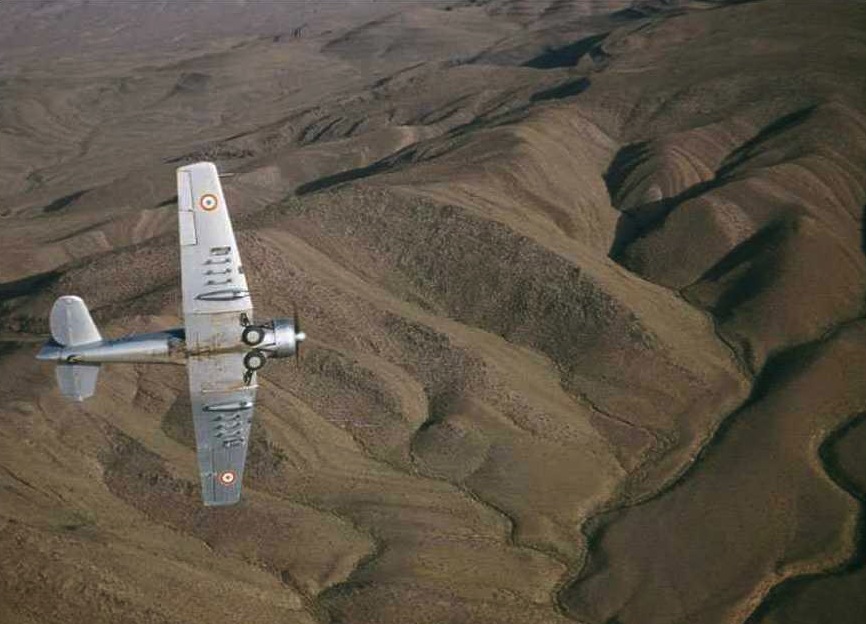 T6-10.jpg