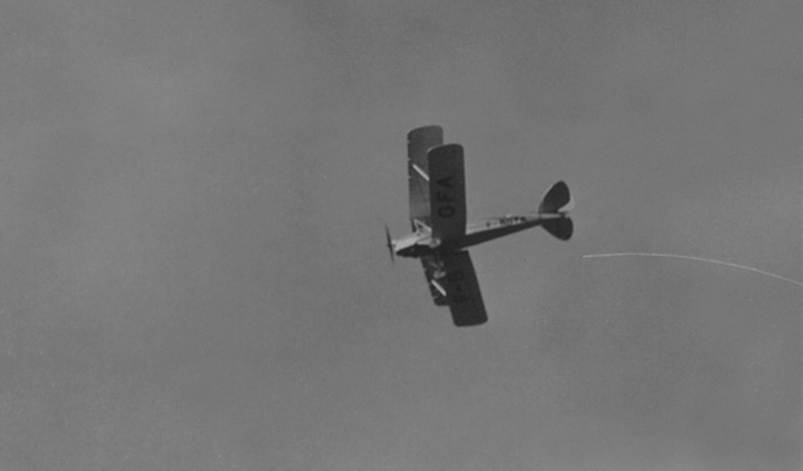 TigerMoth.jpg