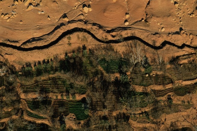 42-24361502 (1).png