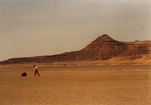 Niger Vols Taoudenni59.jpg