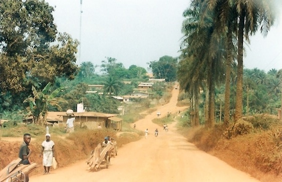 Niger Vols Cameroun01.jpg
