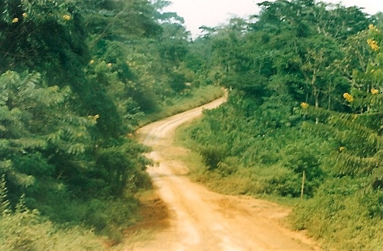 Niger Vols Cameroun03.jpg