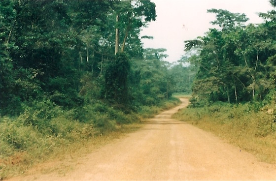 Niger Vols Cameroun04.jpg