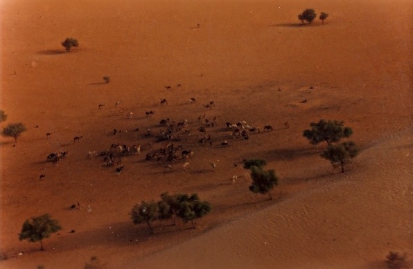 Niger Vols Elf05.jpg