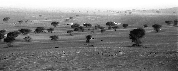 Niger Vols Elf11.jpg