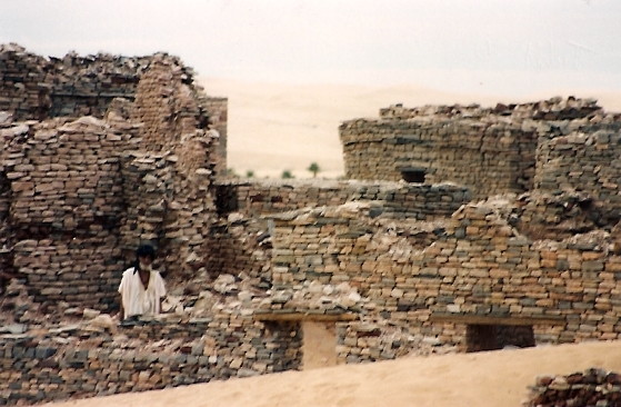 Niger Vols Rallye DKR08.jpg