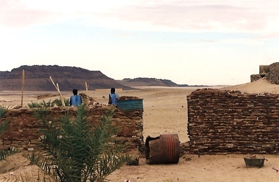 Niger Vols Rallye DKR21.jpg