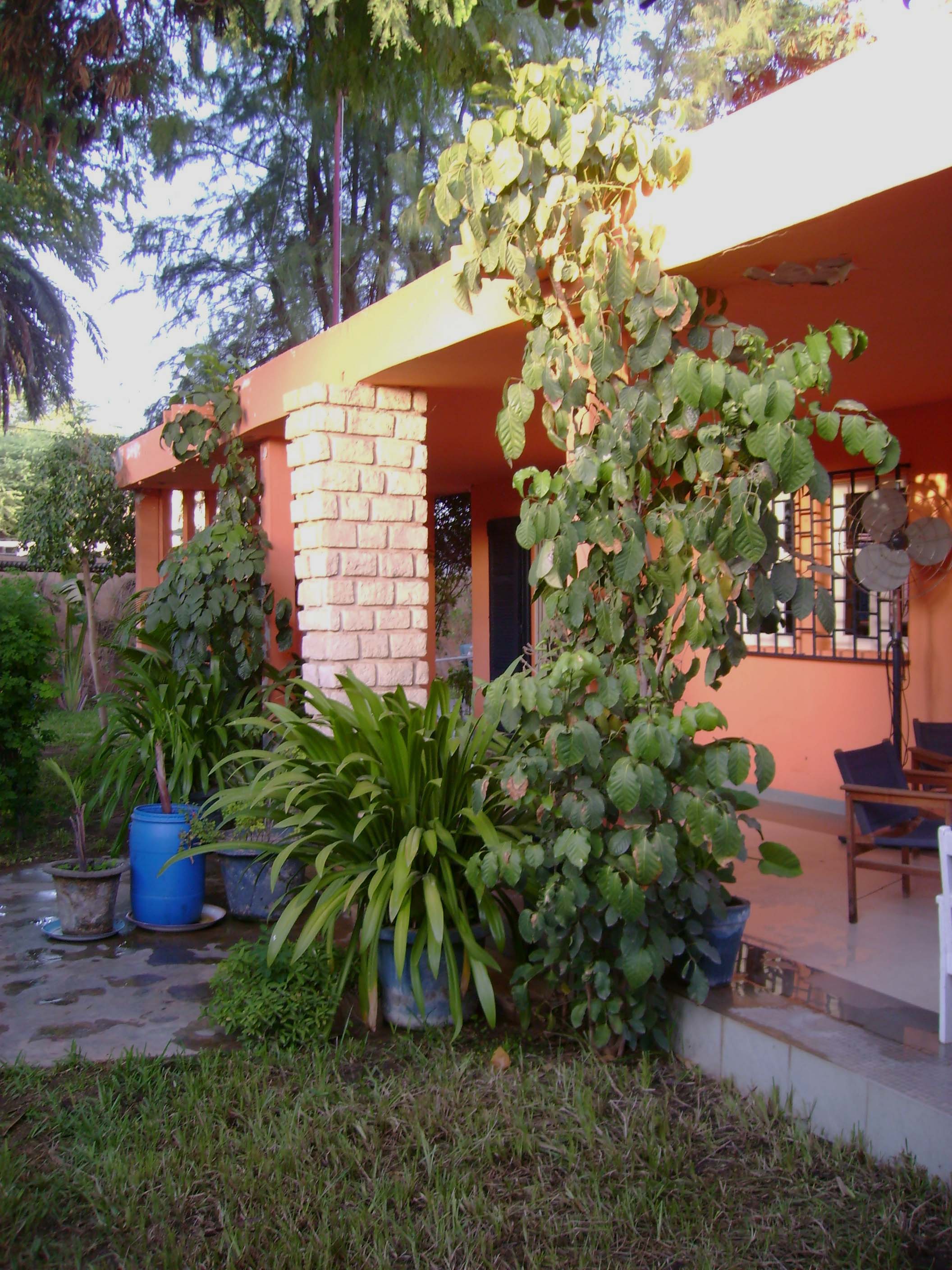 Mauritanie Maison143.JPG