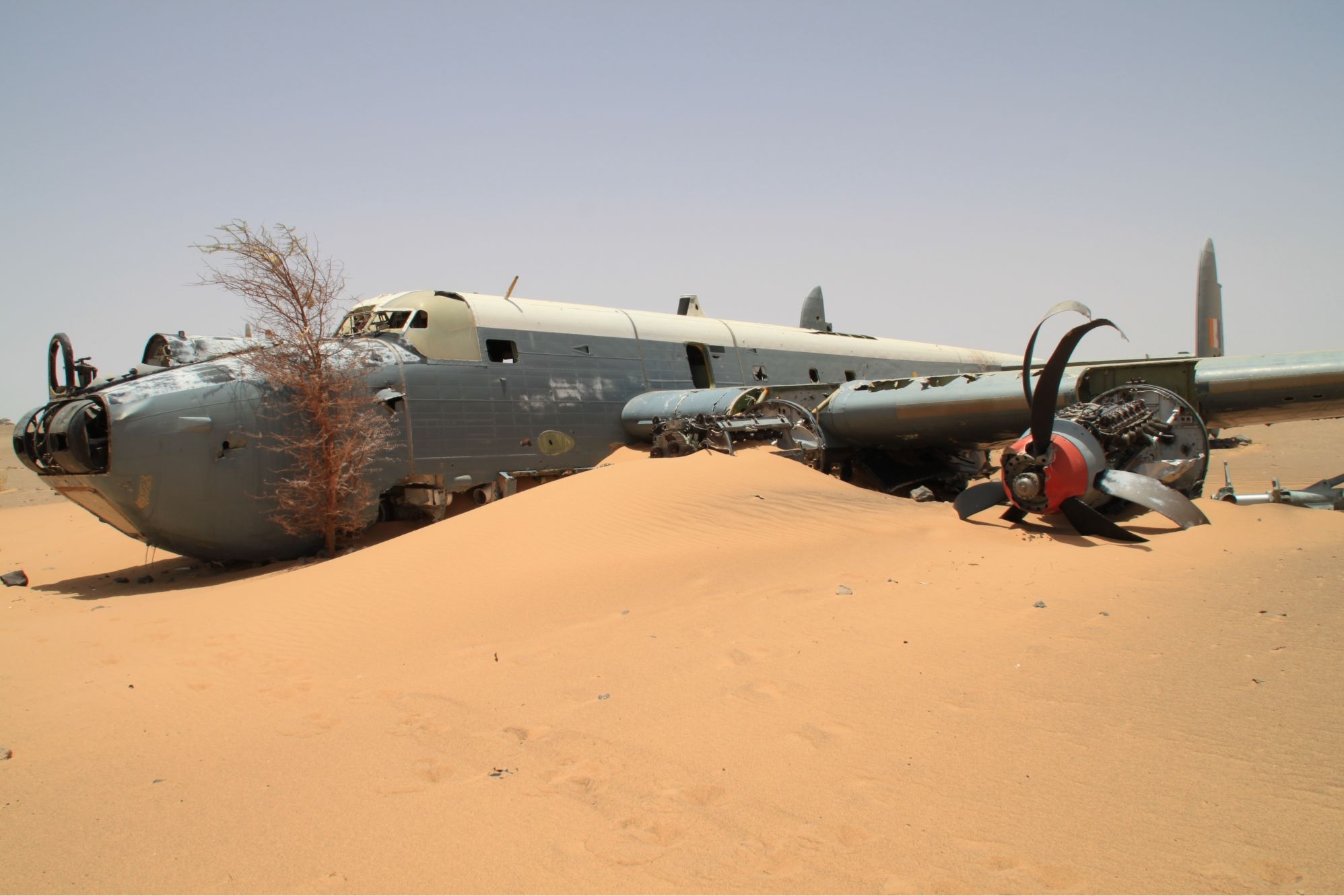 SAAF_Avro_Shackleton_MR3_Shevelev-2.jpg